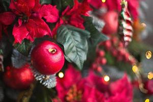 Red decor on a Christmas tree made of apples and poinsettias. Christmas background and frame for new year. Close-up, festive fir tree with berries, icicles, garlands. Space for text photo