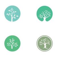 Living tree logo design, using a vector illustration template concept.