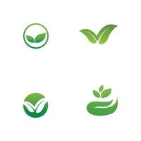 logotipo de hojas verdes.los iconos de hoja verde establecen plantilla vectorial vector