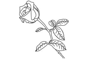 se dibuja una sola rosa con un contorno negro, está pensada para tatuajes, impresiones, tarjetas, impresión de telas, 8 de marzo, san valentín, etiquetas, logotipos y otras ocasiones. vector