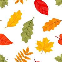 patrón sin fisuras de las hojas de otoño. textura interminable. ilustración vectorial estilo de dibujos animados vector