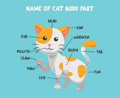 nombre de la parte del cuerpo del lindo gato de dibujos animados para niños en inglés vector