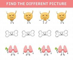 Education game for children find the different picture in each row cute cartoon human anatomy and organ bladder bone thyroid vector