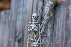 Trick or Treat concept. Preparation for Halloween party. Scary traditional decoration skeleton monster with scary face hanging on wooden background. Autumn fall happy Halloween. photo