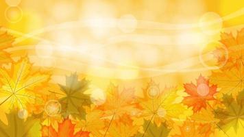 Sunny autumn background with leaves and highlights vector