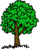träd med löv ikon tecken design png
