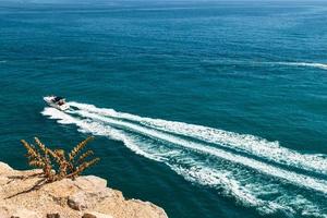 Plant on the coast cliff with the sea in the background. Horizontal image. photo