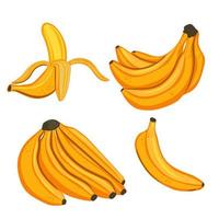 Set of bananas isolated on a white background. Vector graphics.