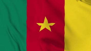 realistic Republic of Cameroon waving flag. smooth 4k video seemless loop