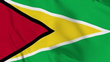 realistische Guyana Guyana wapperende vlag. vloeiende 4k-video zonder lus video