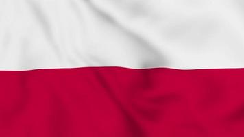 Republic of Poland realistic waving flag. smooth seamless loop 4k video