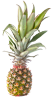 sfondo trasparente di frutta di ananas isolato. png