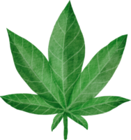 Cutout cannabis leaf simplicity watercolor painting. png