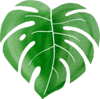 Cutout monstera leaf watercolor simplicity painting. png