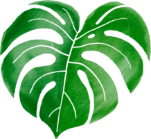 Cutout monstera leaf watercolor simplicity painting. png