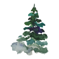 weihnachtsbaum, kiefernaquarellillustration png