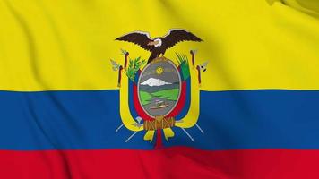 drapeau ondulant de l'equateur réaliste. boucle fluide de la vidéo 4k video