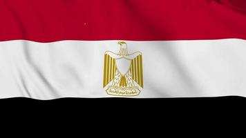 realistische arabische republiek egypte wapperende vlag. vloeiende 4k-video zonder lus video