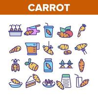 conjunto de iconos de colección de bio vegetales de zanahoria vector