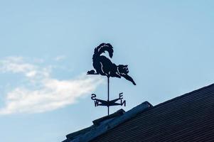 cat vane on the roof on blue sky background photo