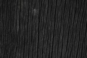 texture of bark, wood grain background photo