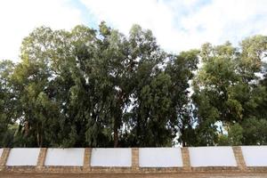 Fencing in a city park on the Mediterranean coast photo