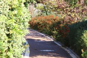 Road for walking in the city park. photo