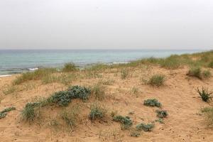 costa del mar mediterráneo en el norte de israel. foto