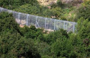 Plants and flowers grow along the high fence. photo