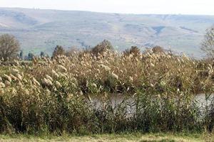 Rural landscape in northern Israel. photo