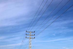 Electrical wires carrying high voltage current. photo