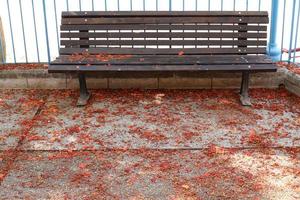 Bench for rest in the city park. photo