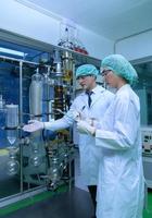 Scientists and assistants are in the machine room extracting oil and cannabis seeds. Inspecting cannabis oil extractor before starting to extract the prepared cannabis photo