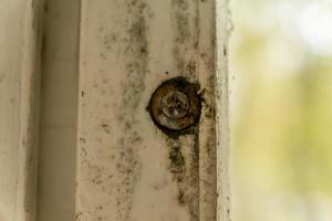 moho en el marco de la ventana de madera de cerca foto