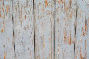 Wooden background of an old tree with cracked blue paint photo