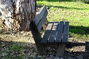 Bench in a city park on the Mediterranean coast photo