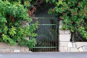 Plants and flowers grow along the high fence. photo