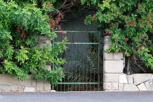 Plants and flowers grow along the high fence. photo