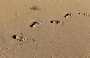 Footprints in the sand on the city beach. photo