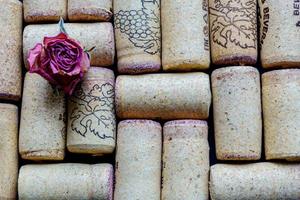 used red vine corks with dry pink rose background closeup photo