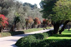 Road for walking in the city park. photo