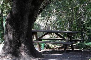 Bench for rest in the city park. photo