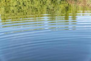 water surface background with trees reflection photo