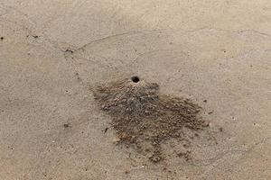 Footprints in the sand on the city beach. photo