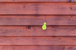 Green tree branch growing through the red wooden fence, background texture photo