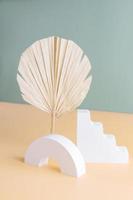 Podium with dry palm branches for product presentation. Abstract minimal geometrical form on beige background. Showcase with soft shadow. Scene, display. photo