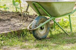 garden wheelbarrow near garden bed and tools photo