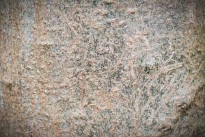 abstract texture background of tropic tree bark photo