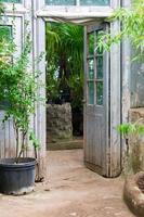 Opened vintage wooden door to green garden photo