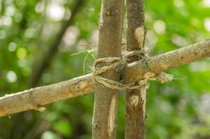 Closeup of handmade wooden fence made of branches. photo